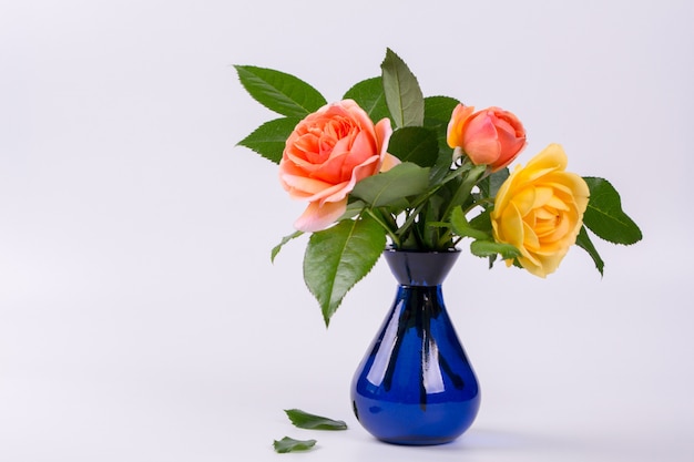 Fresh yellow and peach roses in a blue vase isolated on white surface