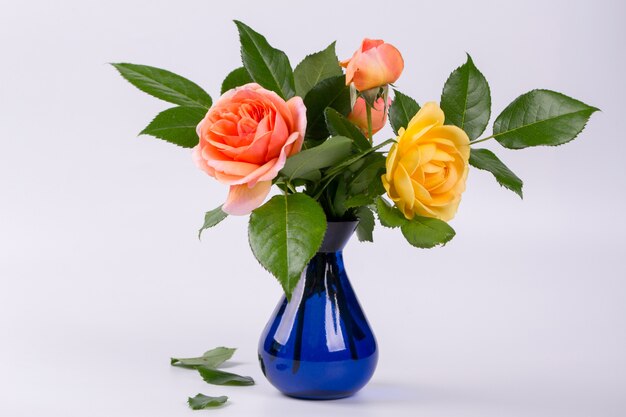 Fresh yellow and peach roses in a blue vase isolated on white surface