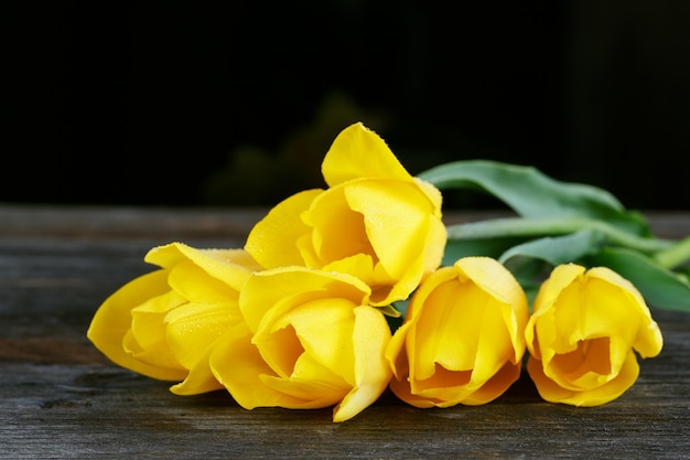 Fresh yellow tulips on dark wooden surface