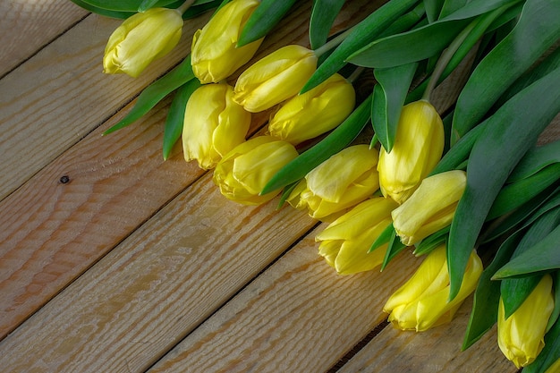 Fresh yellow tulips on wooden background. Can be used as background