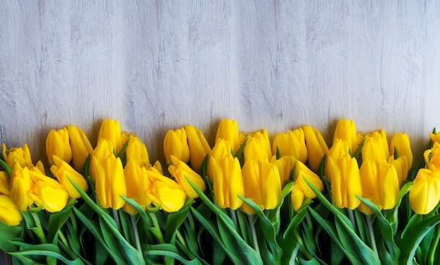 Fresh yellow tulips on wooden background