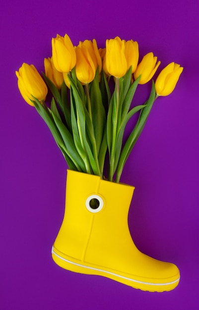 Свежие желтые тюльпаны в желтых сапогах от дождя на фиолетовом
