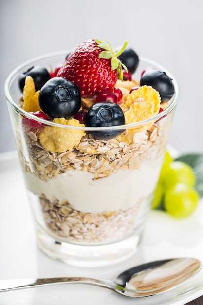 Fresh yogurt with muesli and blueberries in a glass, close-up