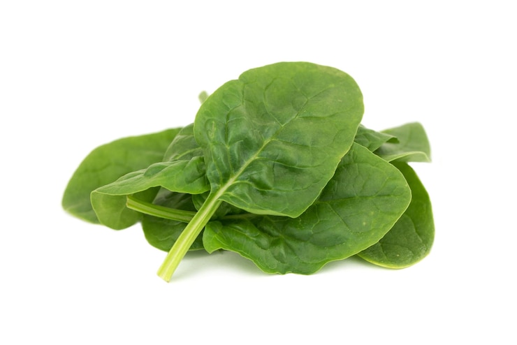 Photo fresh young baby spinach leaves