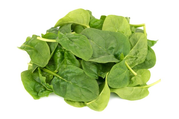 Premium Photo | Fresh young baby spinach leaves