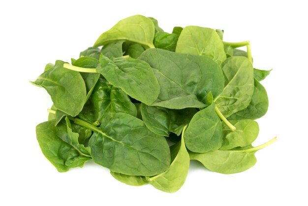 fresh young baby spinach leaves