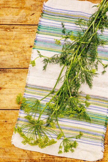 Fresh young dill, inflorescences and its greens. Traditional ingredient for cooking