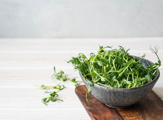 Fresh young green pea sprouts in a bowl on a table. Copy space