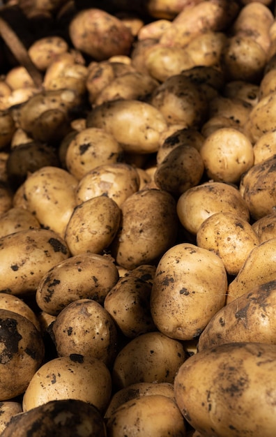 Fresh young potatoes on the food market