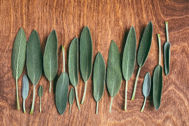 Foglie di salvia fresche su fondo di legno