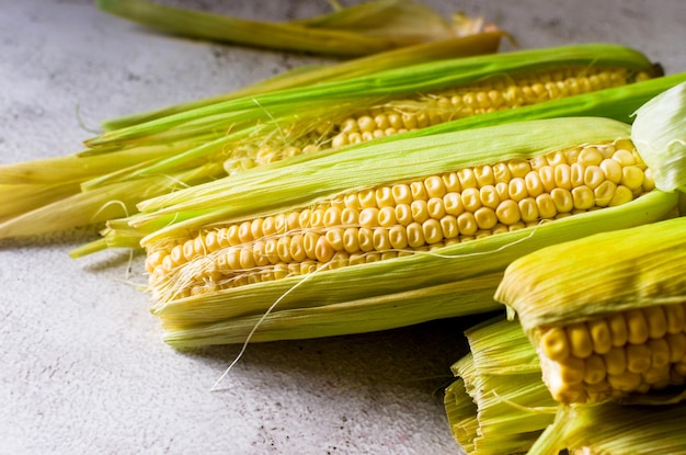 Fresh young sweet corn on cobs on grey table