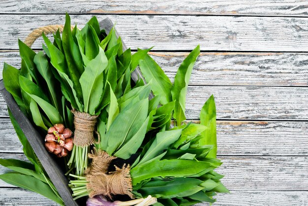 Fresh young wild garlic leaves on a white wooden background Top view Free space for your text