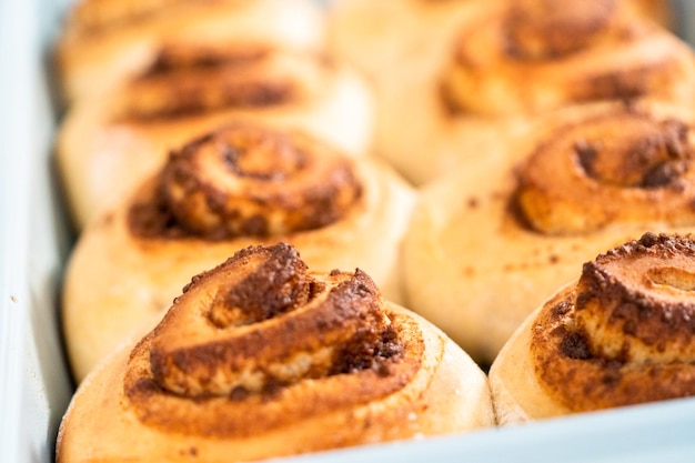 Freshly baked cinnamon rolls in a blue baking pan.