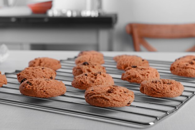 Freshly baked cookies on tray rack