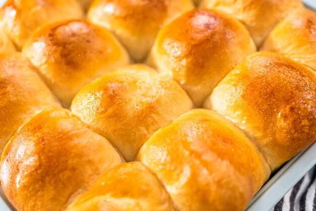 Freshly baked dinner rolls in the baking pan.