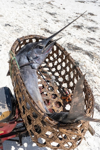 タンザニアのザンジバル島のビーチでバイクに乗ってストローバスケットで獲れたての大きなカジキをクローズアップ