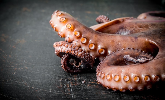 Photo freshly cooked octopus