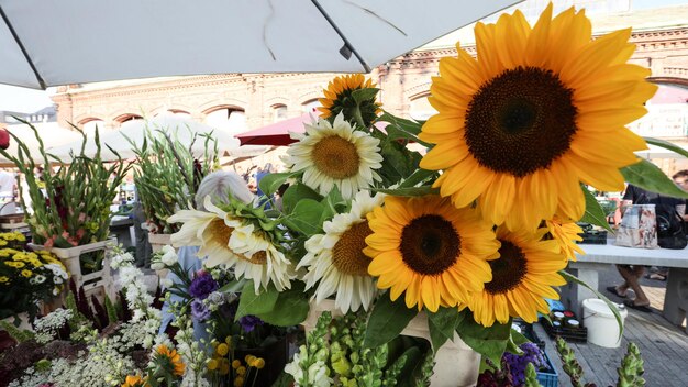 freshly cut flowers at the market