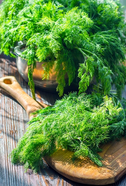 Freshly cut green young dill on a kitchen board