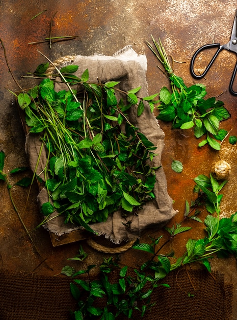 Freshly cut mint on rusty colored background