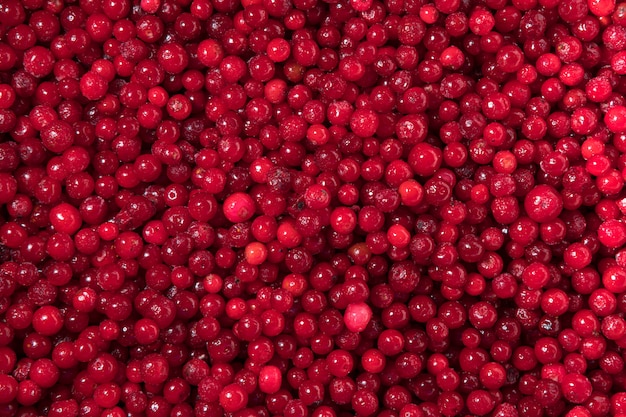 Photo freshly frozen red cranberries. background of many red berries.