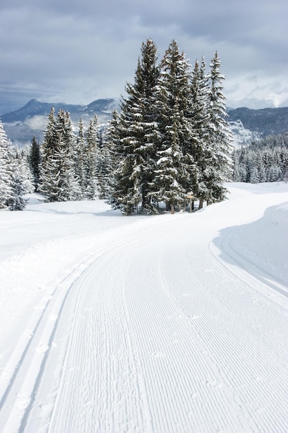 Freshly groomed empty cross-country ski track at French Alps