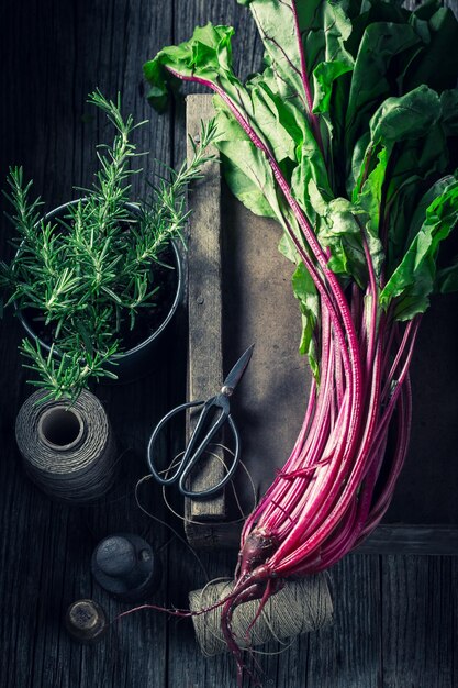 Freshly harvested beetroots in a rustic kitchen