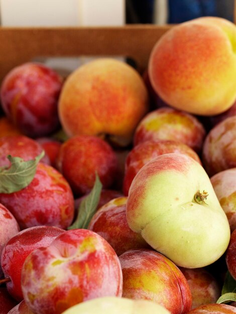 Freshly harvested fruits