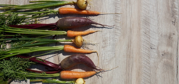 Barbabietola, cipolla e carota organiche nostrane appena raccolte sulla tavola di legno. vista dall'alto, copia spazio. bandiera