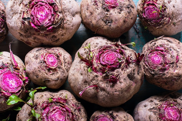 Freshly Harvested Organic Beetroots Cut Row