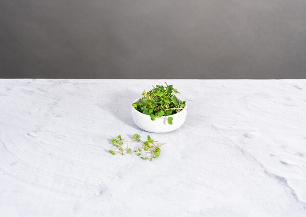 Freshly harvested radish microgreens in a bowl.