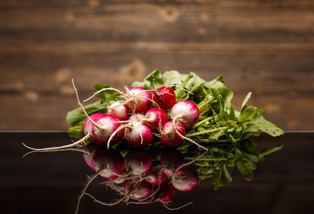 Freshly harvested radishes