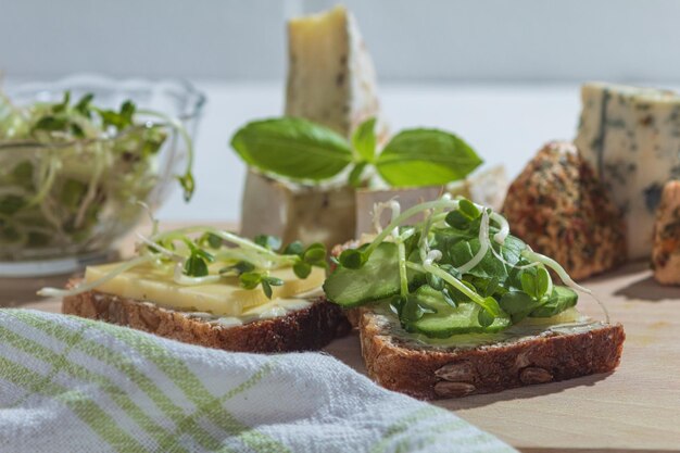 Свежеприготовленный вегетарианский сэндвич с ростками люцерны и сыром