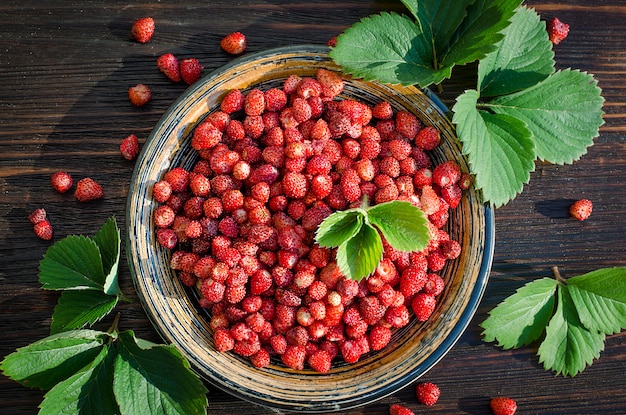 Fragola di bosco appena mescolata in una ciotola