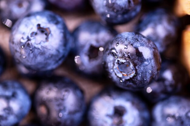 Freshly picked blueberries as background blueberries closeup