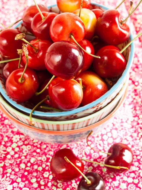 Freshly picked heap of cherries in bowl.