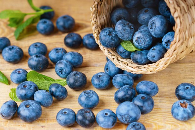 Freshly picked juicy and fresh blueberries with green mint leaves i