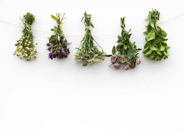 Photo freshly picked medical herbs hanging on white background