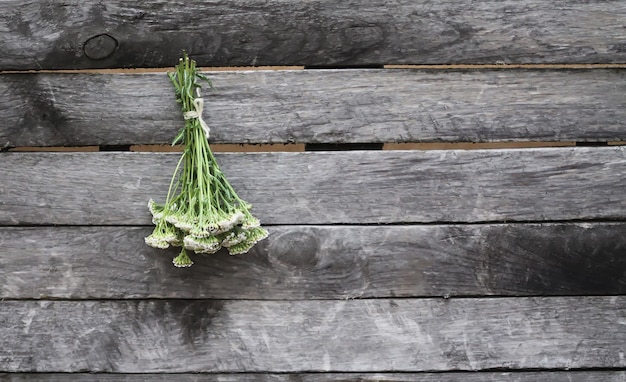 Photo freshly picked medical herbs hanging on wooden wall outdoors. yarrow plant.