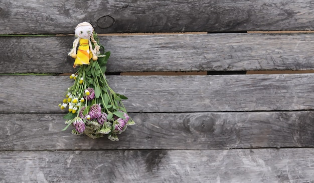 Freshly picked medical herbs hanging on wooden wall outdoors.