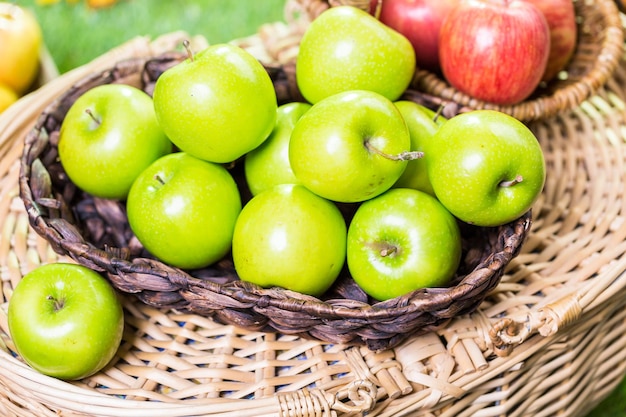 Freshly picked organic apples on the farm.