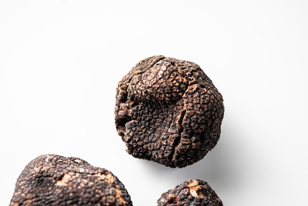 Freshly picked organic black truffle ready to serve in a restaurant Tuber nigrum