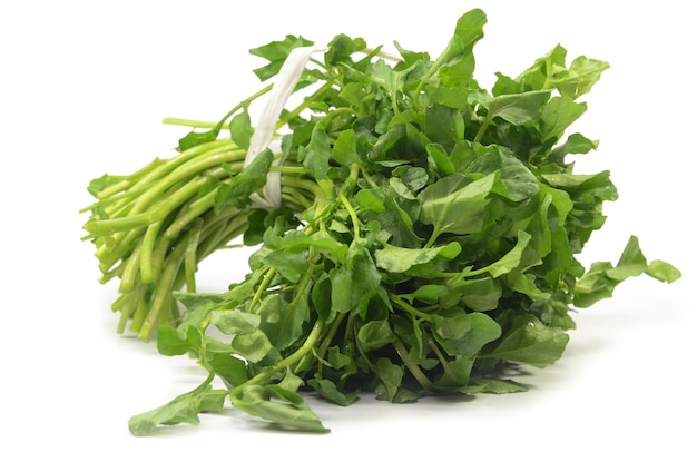 freshly picked organic watercress