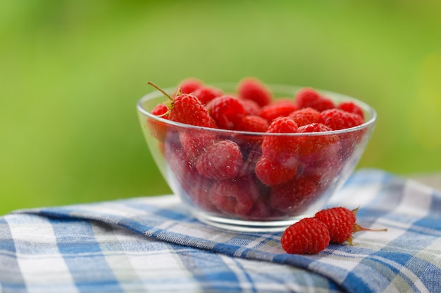 Freshly Picked Raspberries in a bowl in the garden