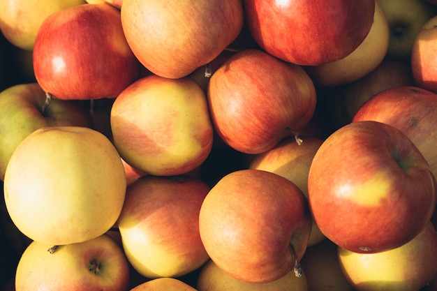 Freshly picked red and yellow apples close-up