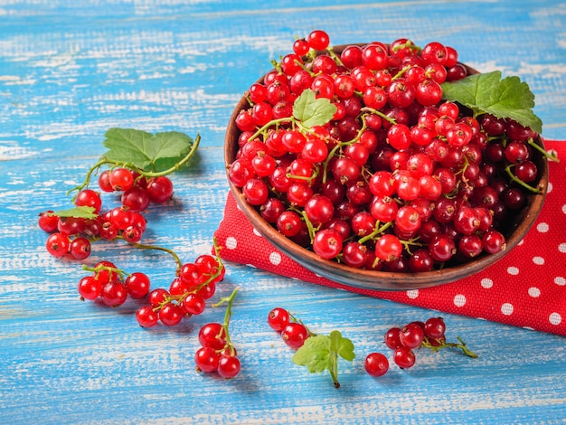 Freshly picked redcurrant berries in a clay bowl on a blue wooden rustic table.