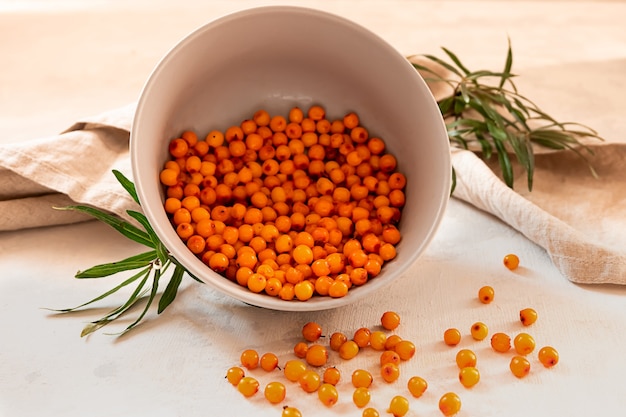 Freshly picked sea buckthorn berries in a grey bowl on light grey concrete surface