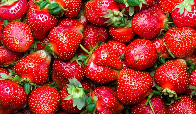 Freshly picked strawberries create a tempting and colorful backdrop
