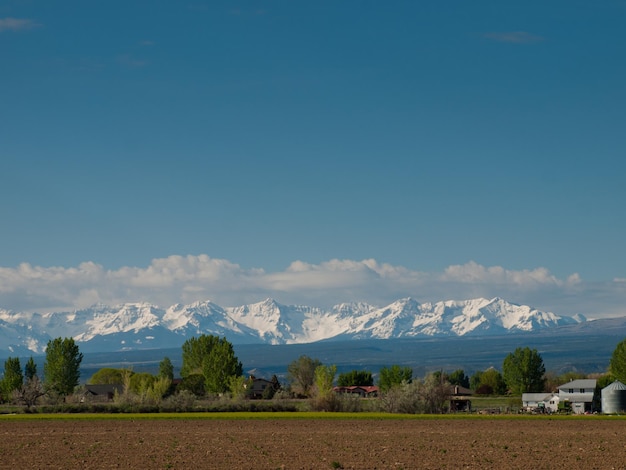 Campo appena arato a montrose, colorado.