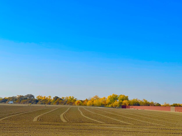 Freshly plowed field